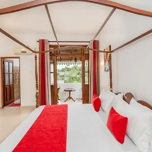 https://city-oasis.negombohotels.net